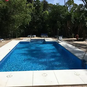 check availability